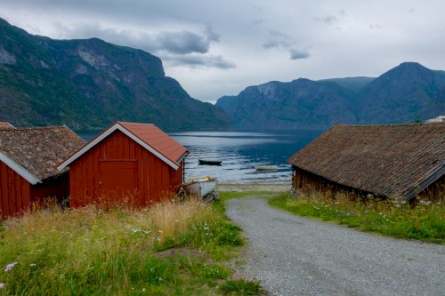 Norvegia